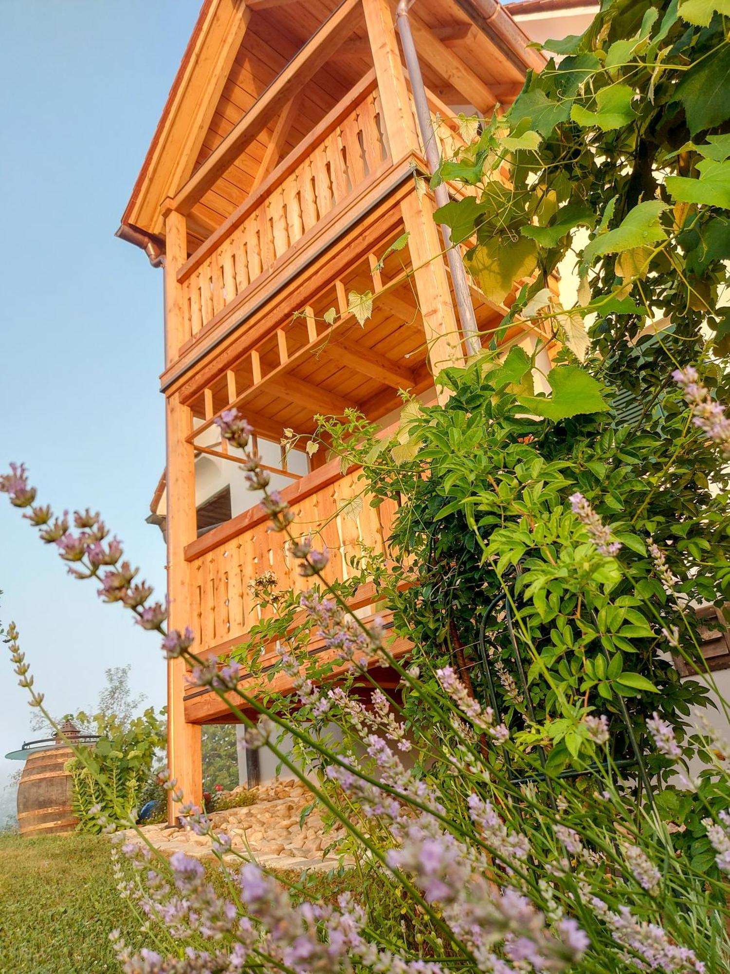 Apartamento Sonnenhaus Grandl Feldbach  Exterior foto